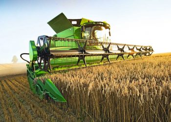 Lluvias desparejas aportan cierto alivio en la agropecuaria