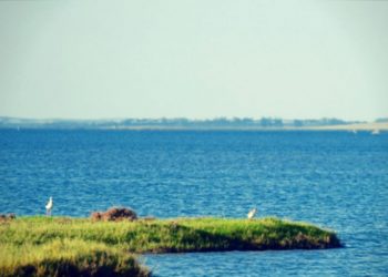 Hidrovía Uruguay-Brasil: un trabajo silencioso