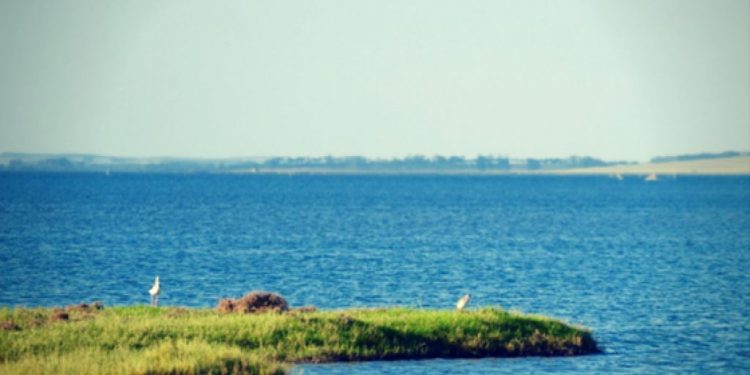 Hidrovía Uruguay-Brasil: un trabajo silencioso