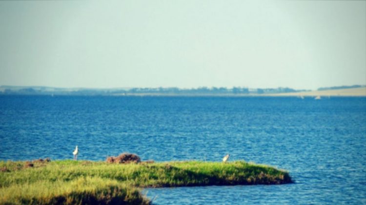 Hidrovía Uruguay-Brasil: un trabajo silencioso