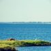 Hidrovía Uruguay-Brasil: un trabajo silencioso