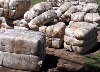 El mercado australiano cerró 2020 cayendo a US$ 8,74