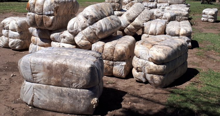 El mercado australiano cerró 2020 cayendo a US$ 8,74