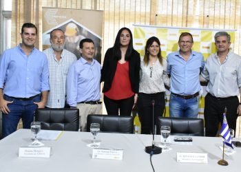 Se viene la revolución de la madera