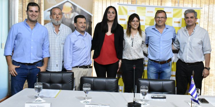 Se viene la revolución de la madera