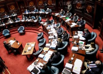 Senado aprobó reasignaciones para la Anep tras intenso debate por el presupuesto educativo