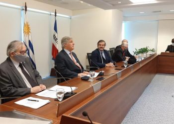 EE.UU. aportará US$ 200.000 para el combate de la bichera en Uruguay