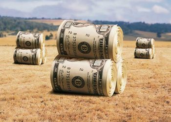 Subsidios agropecuarios: academia y realidad