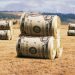 Subsidios agropecuarios: academia y realidad