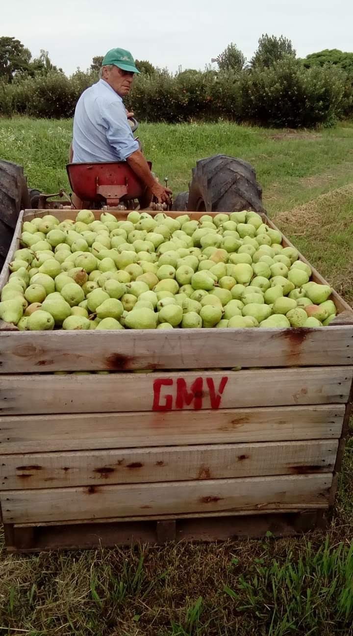 Melilla, el paraíso productivo que no es