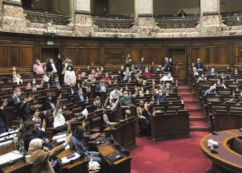 Se aprobó en Diputados el proyecto de ley revisado que regula la forestación