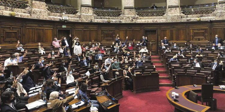 Se aprobó en Diputados el proyecto de ley revisado que regula la forestación