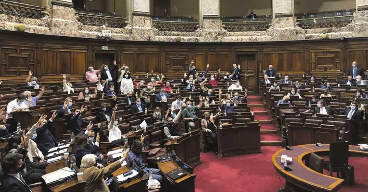 Se aprobó en Diputados el proyecto de ley revisado que regula la forestación