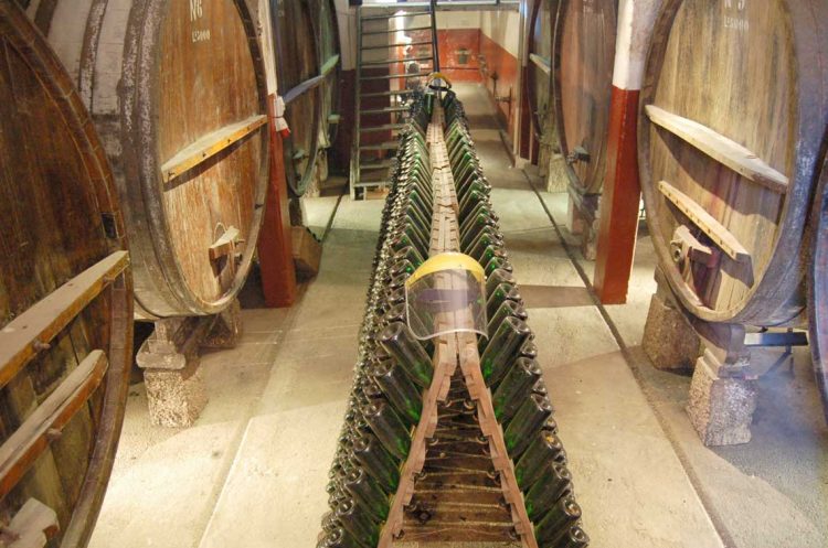 Bodega Pisano apuesta a la diferenciación