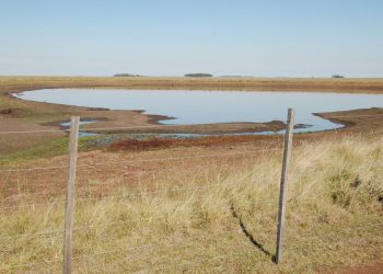 Se declaró emergencia agropecuaria en 10 departamentos
