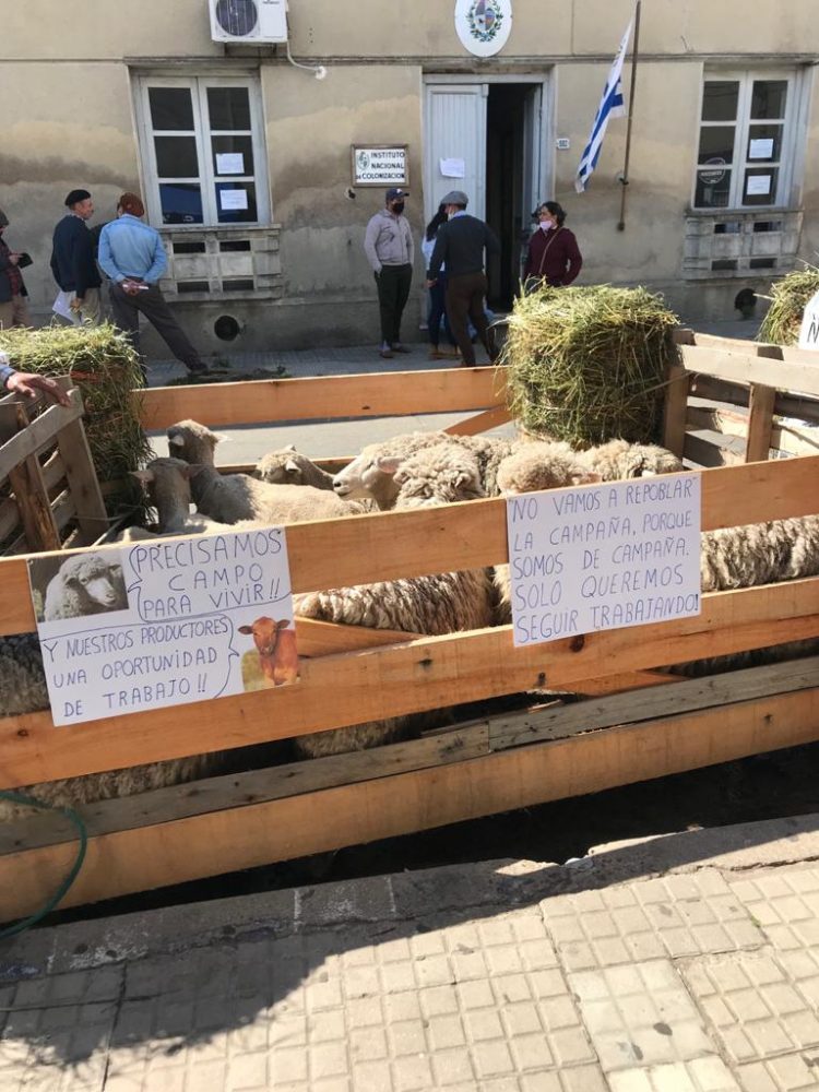 “Los colonos no esperábamos que la renta subiera 25%”