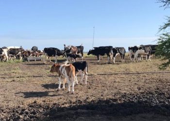 “Los colonos no esperábamos que la renta subiera 25%”