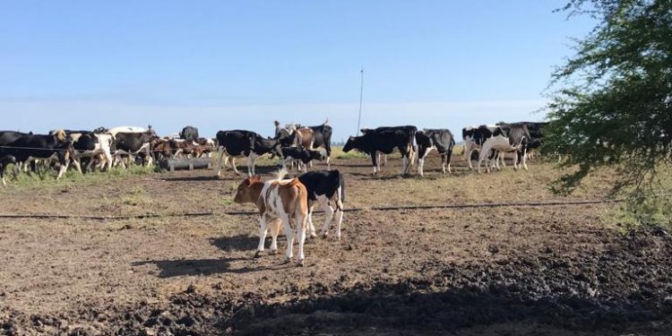 “Los colonos no esperábamos que la renta subiera 25%”