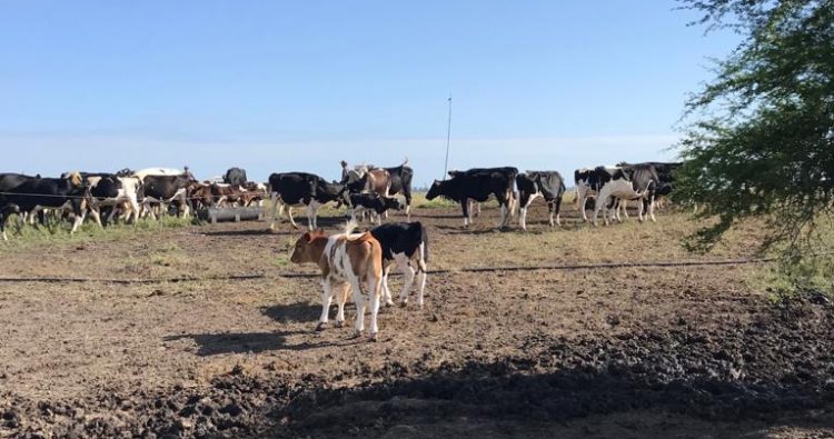 “Los colonos no esperábamos que la renta subiera 25%”