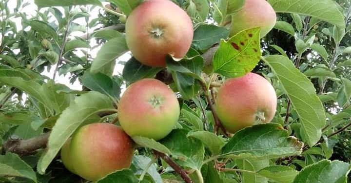 Melilla, el paraíso productivo que no es