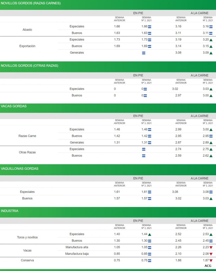 Consignatarios: “Faena estable, entradas ágiles y mercado firme”