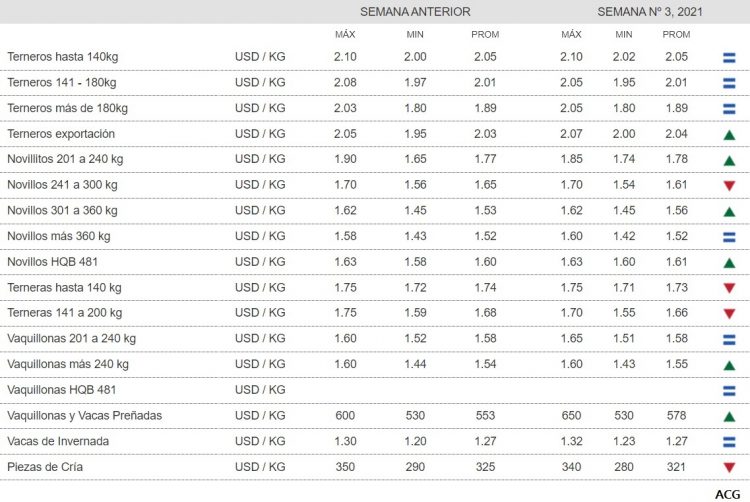Consignatarios: “Faena estable, entradas ágiles y mercado firme”
