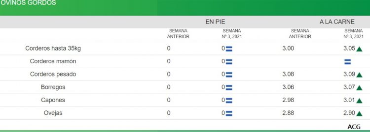 Consignatarios: “Faena estable, entradas ágiles y mercado firme”
