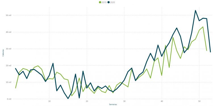 En 2020 la faena de ovinos creció 17%