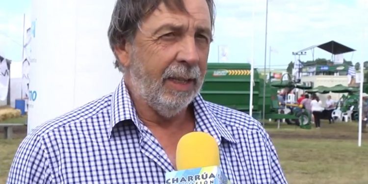 Productores reclaman “certezas de colocación” para alcanzar una faena de 3 millones de cabezas al año