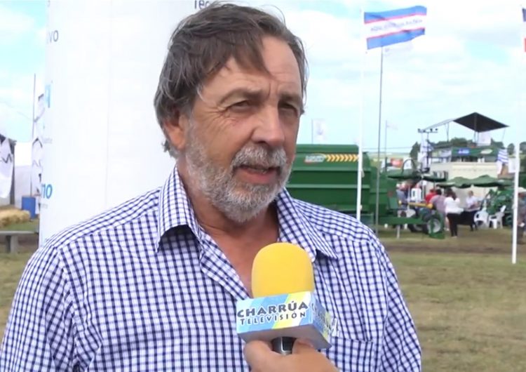 Productores reclaman “certezas de colocación” para alcanzar una faena de 3 millones de cabezas al año