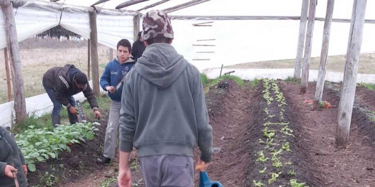 Grupo de padres buscan reapertura de escuela granja rural