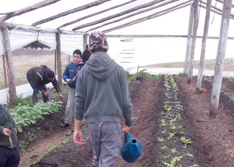 Grupo de padres buscan reapertura de escuela granja rural