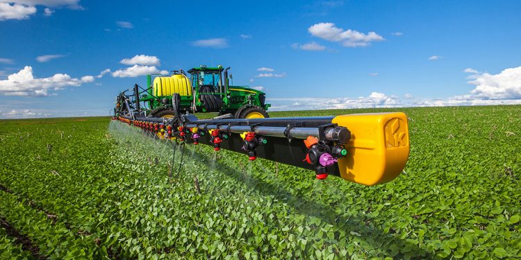 Últimas lluvias más un precio que se mantiene firme dan fundadas esperanzas para la soja