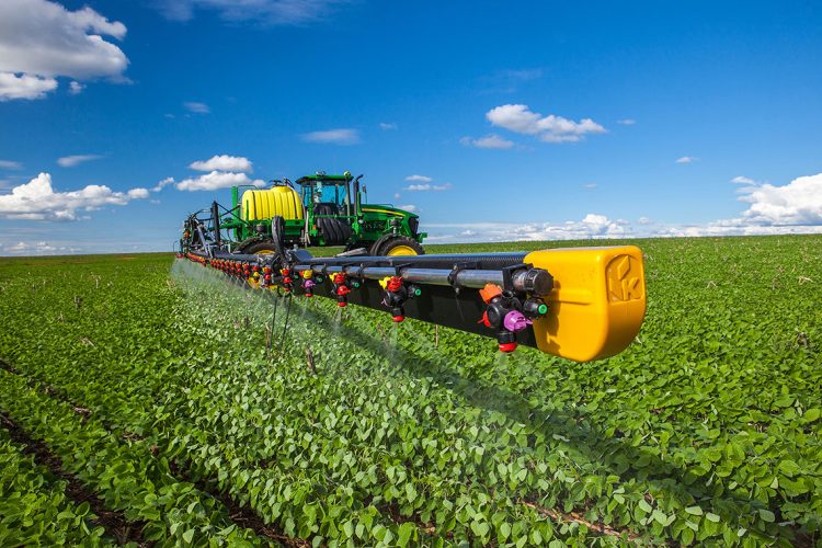 Últimas lluvias más un precio que se mantiene firme dan fundadas esperanzas para la soja