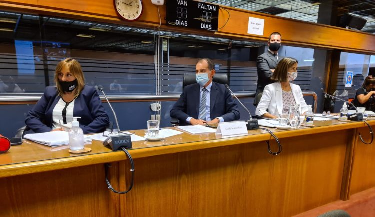 Salinas: “Tenemos un plan de vacunación totalmente armado”