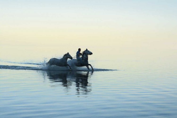 Laguna Merín: Playas de agua dulce y tranquila