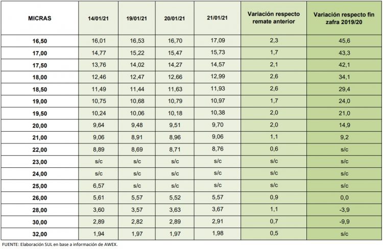 Buen inicio de año para las lanas que subieron por dos semanas consecutivas
