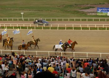 Día de Reyes sin turf