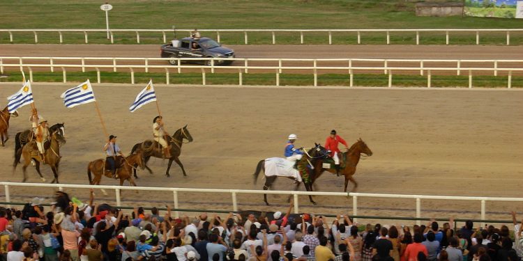 Día de Reyes sin turf