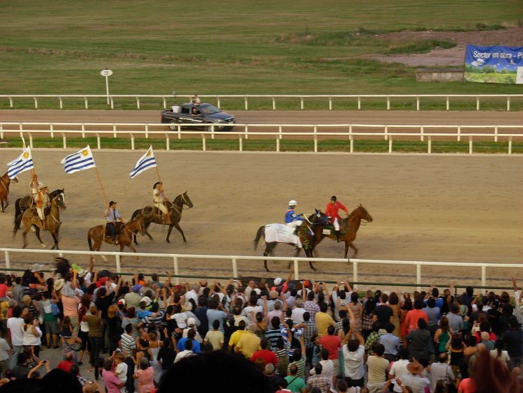 Día de Reyes sin turf