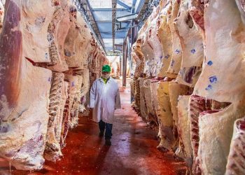 Mercados: surgen signos que alientan cierto optimismo