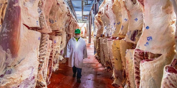 Mercados: surgen signos que alientan cierto optimismo