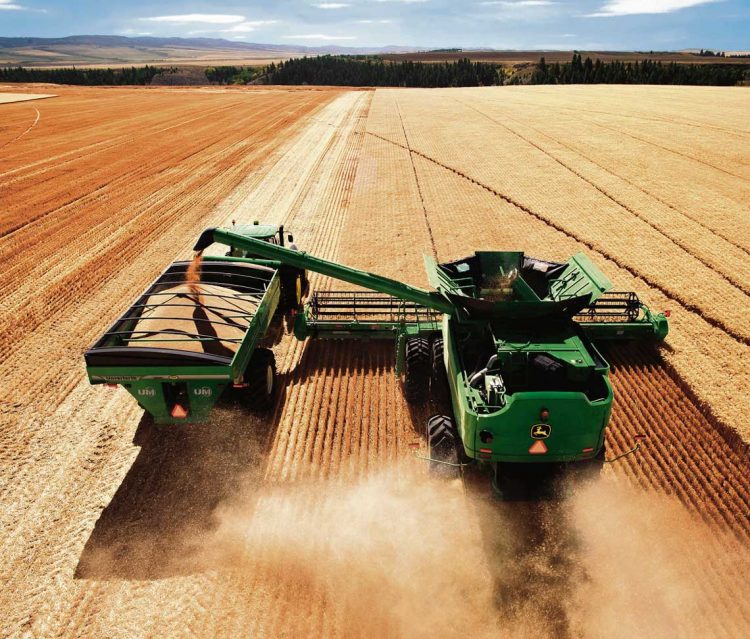 Mercados: surgen signos que alientan cierto optimismo