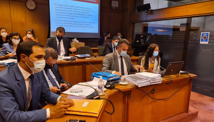 Salinas: “Tenemos un plan de vacunación totalmente armado”