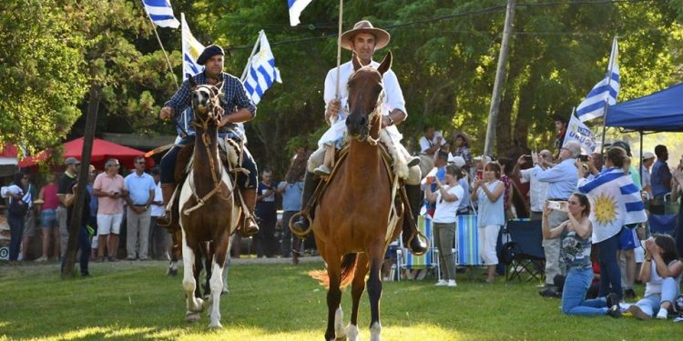 Franchi: Del gobierno depende cómo será el vínculo con USU