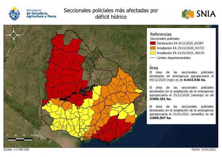Se amplía la emergencia agropecuaria que abarca casi todo el país e incluye la apicultura