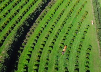 El sector financiero tiene la palabra