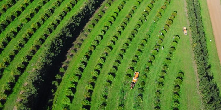 El sector financiero tiene la palabra
