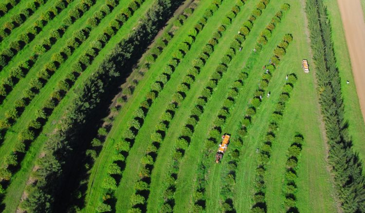 El sector financiero tiene la palabra