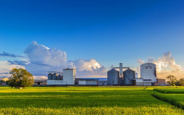 La Ley de Promoción de Inversiones debería priorizar la inversión de agroindustrias nacionales